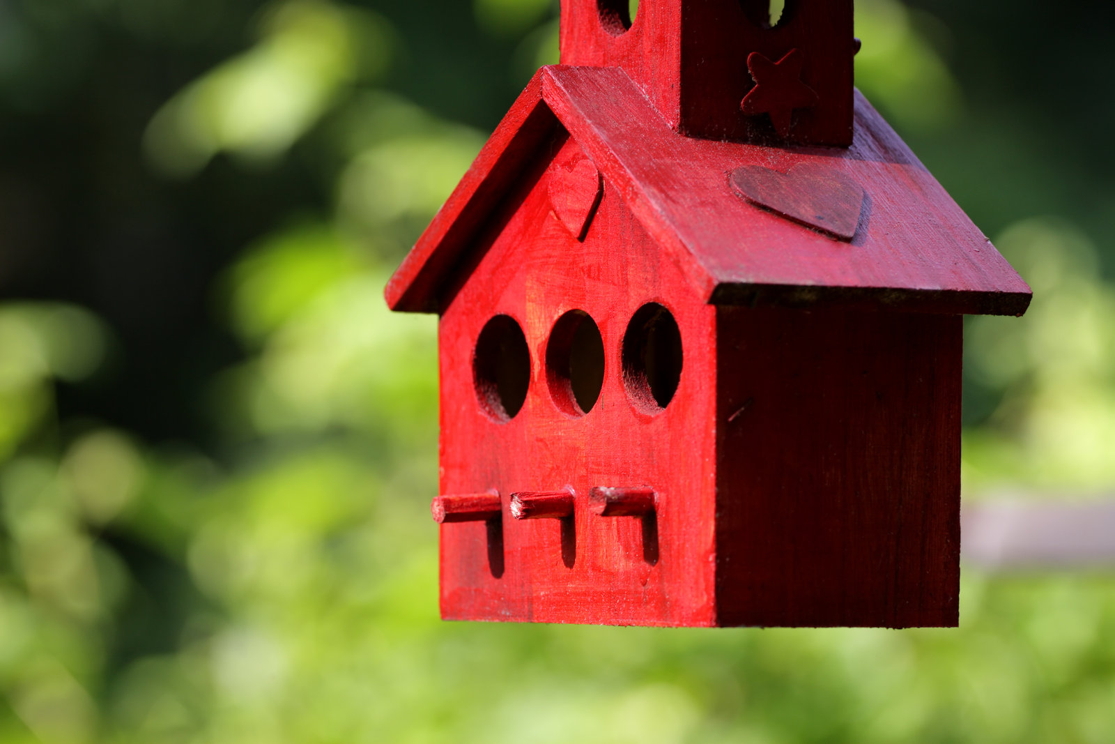 Vogelhuisje maken: stap-voor-stap gids voor een DIY vogelvriendelijke tuin