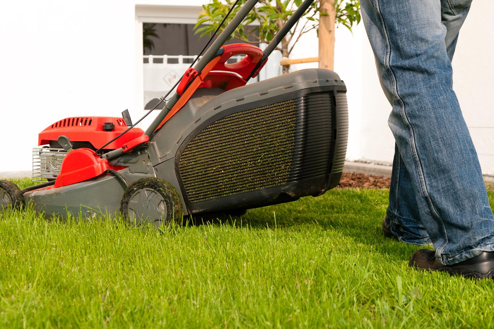 Gras bemesten in de zomer: de beste tips en methoden